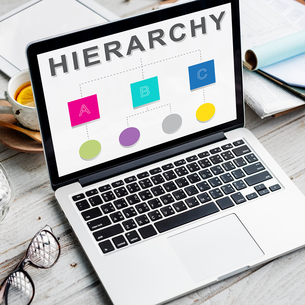Organisation Hierarchy Cover