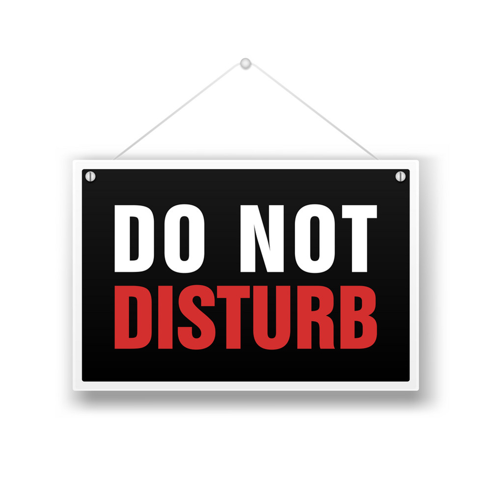 Do Not Disturb Cover