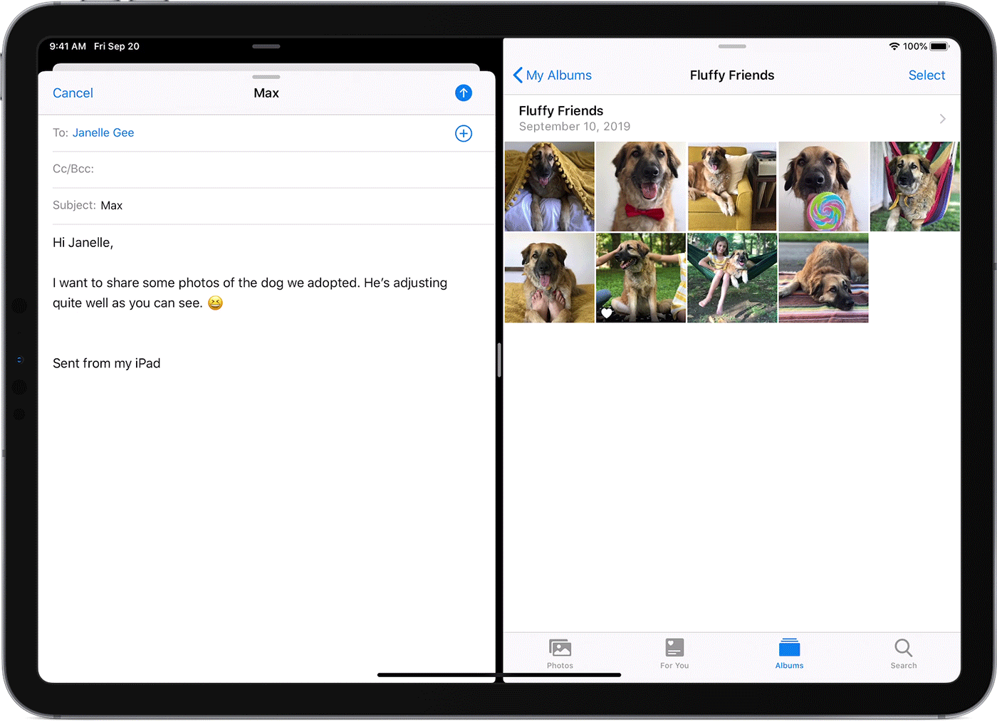 Split View Interface Cover