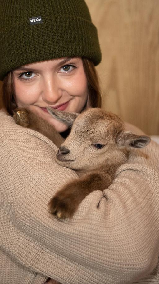 Snuggle with baby goats, lambs and bunnies