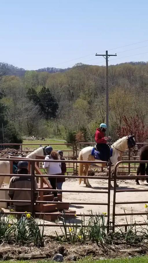 Lakeside Ride on Tennessee Walking Horse
