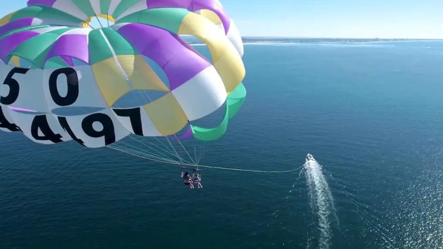 Parasail with dolphins and marine life