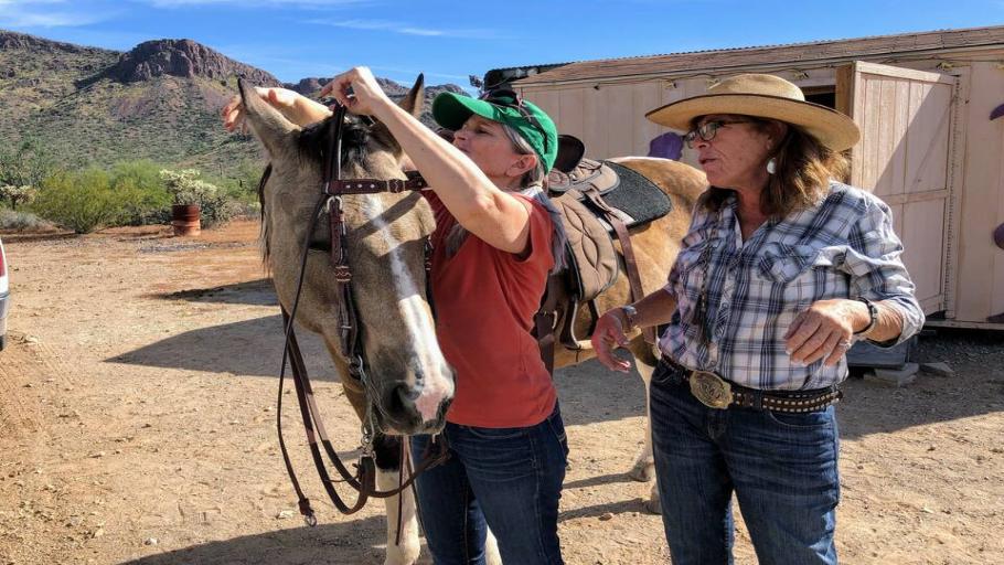 Three Hour Equine Experience at Tucson's China Cabinet Ranch