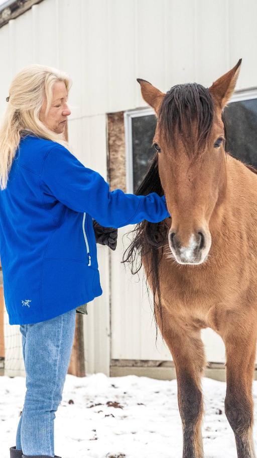 Horse-Assisted Healing Session