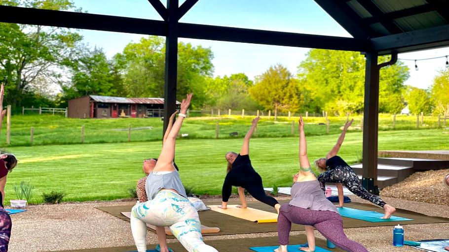 Outdoor yoga and goat encounter at Nashville area