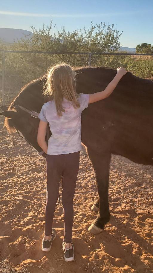 Equine Immersion Therapy