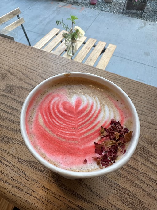 Instagrammable Flower and Coffee Photo Session with Lattes