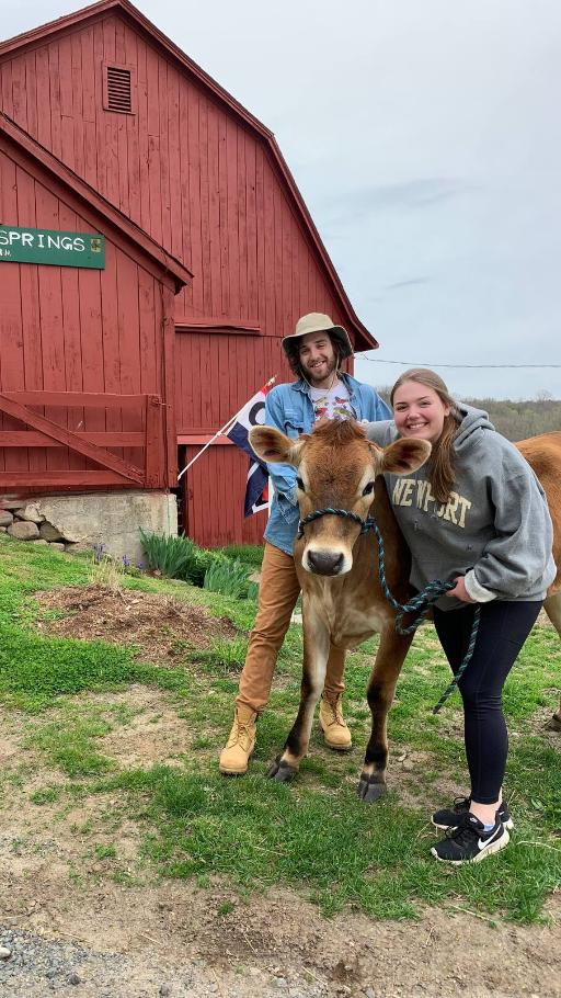 Spend an hour with Valentine, the sweetest Jersey cow