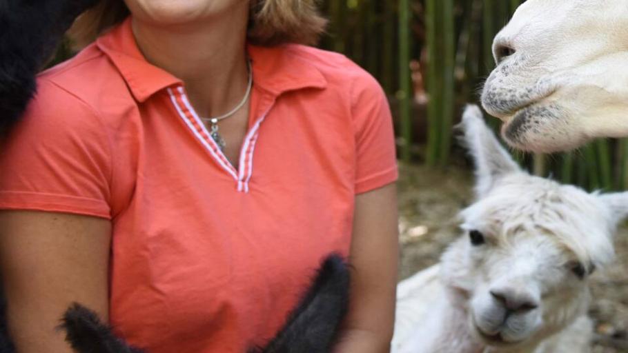 Atlanta Llama Alpaca Experience