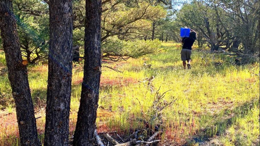 Nature discovery tour with sustainability focus