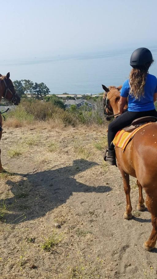 Horseback Adventure on Bluffs & Trails
