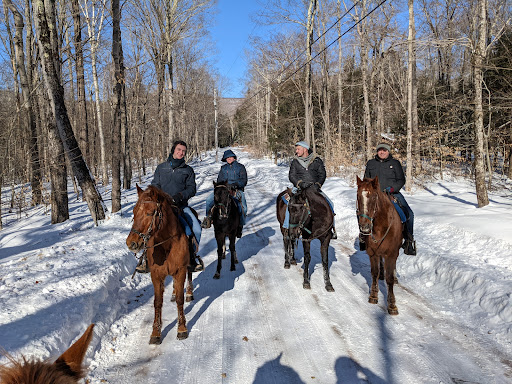 Scenic guided mountain trail ride through the Catskills