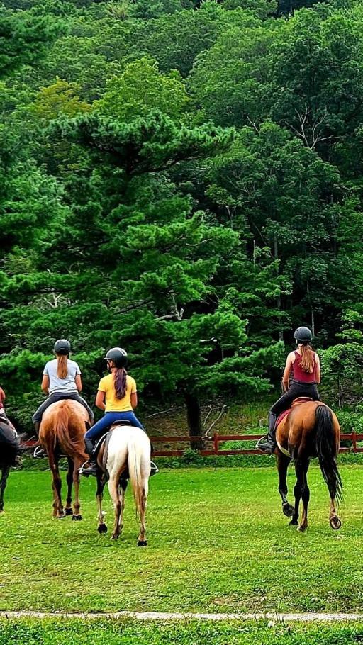 Scenic guided mountain trail ride through the Catskills