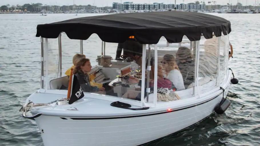 Luxury E-Boat Cruise with Wine, Charcuterie & Sea Lions