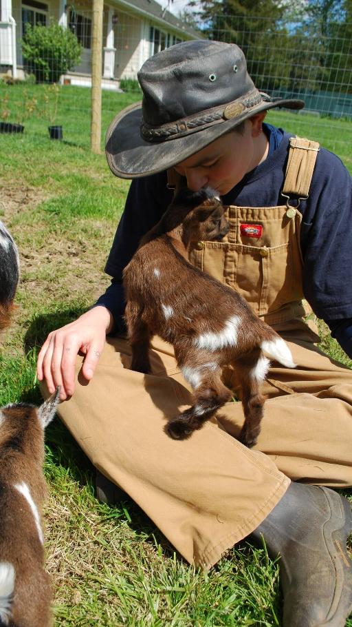 Baby Goat Snuggles and Playtime