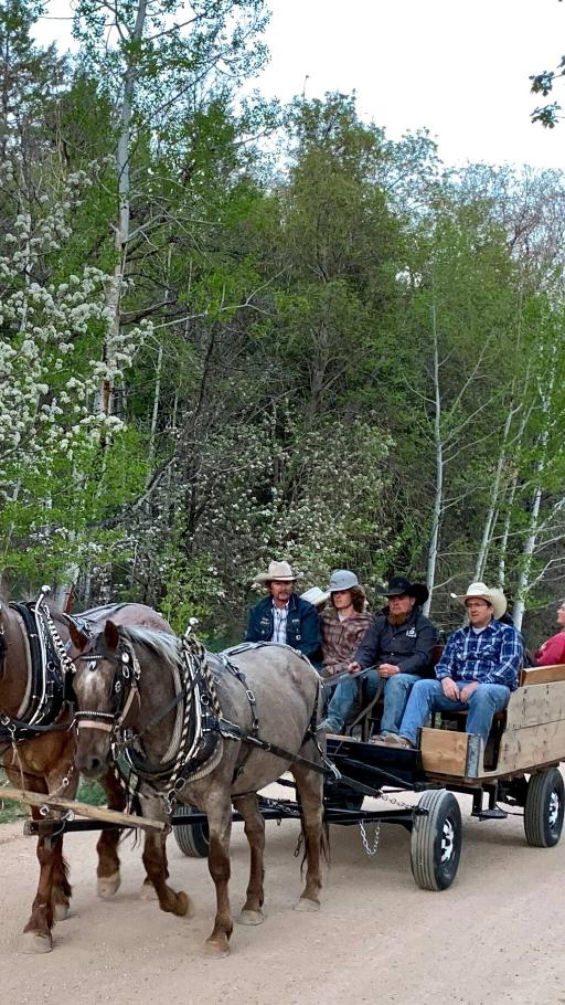 East Zion Country Horse-drawn Wagon Ride