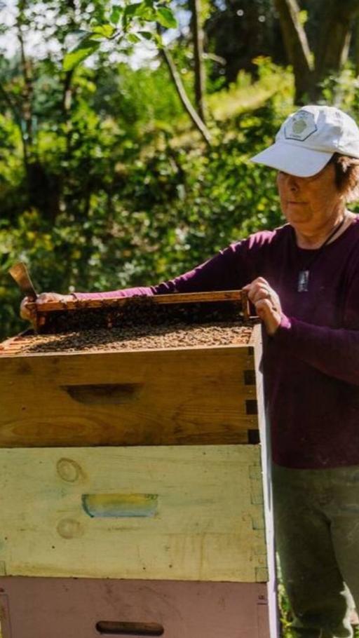 Join a walking tour of a working apiary & homestead