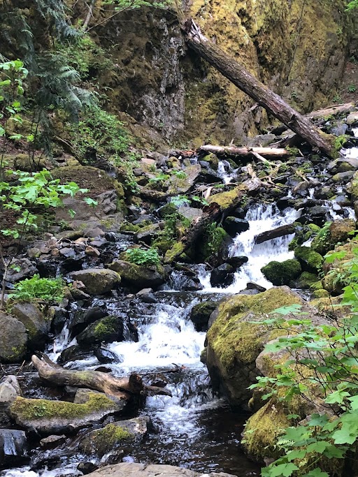 Gorge waterfall hike and bike adventure