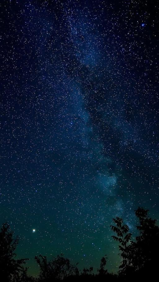 Private Stargazing in Sequoia National Park