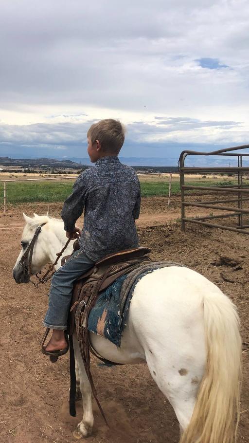 Colorado guided mountain horseback rides