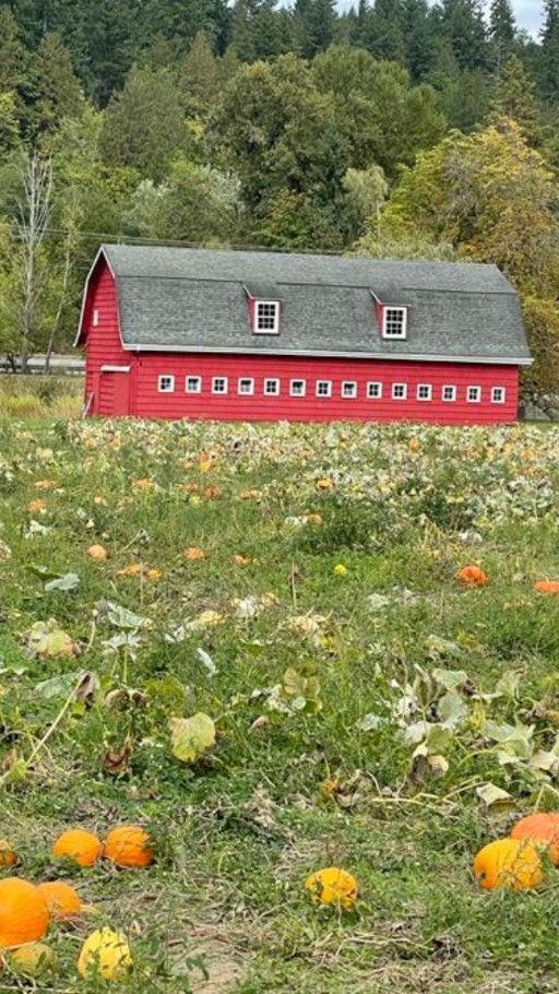 Red Barn Farm