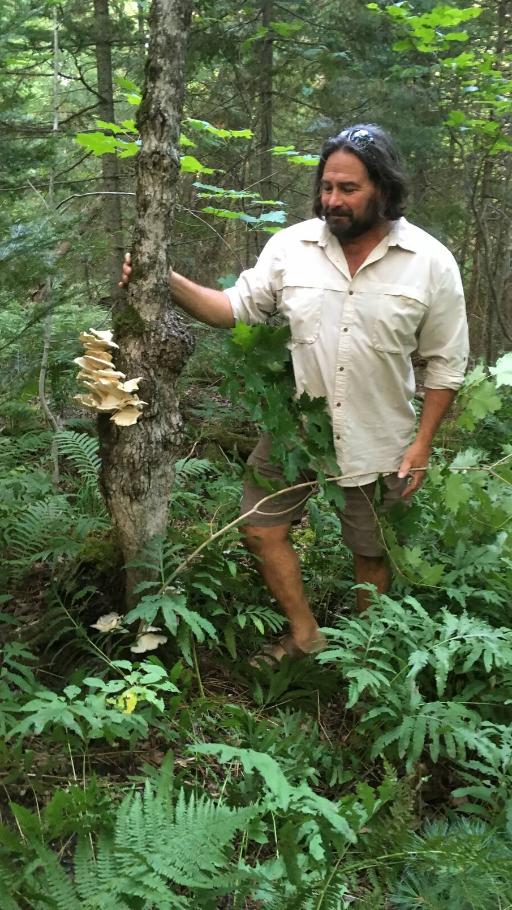 Mushroom foraging class