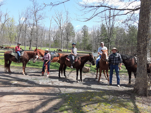 Fieldstone Trails - Vineyard horse ride