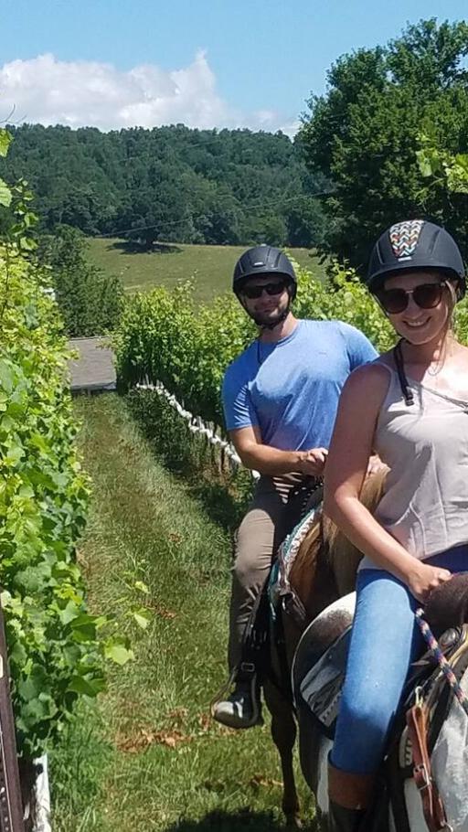 Fieldstone Trails - Vineyard horse ride