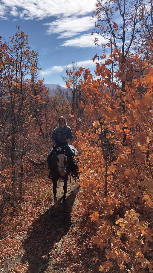 Hobble Creek Canyon Horseback Ride