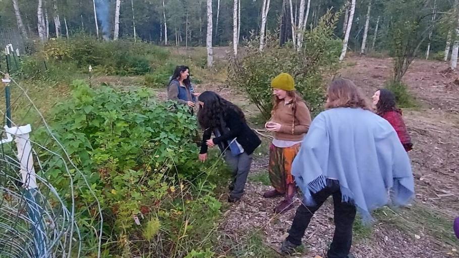 Medicinals and Edibles of the Boreal Forest- A Guided Forage