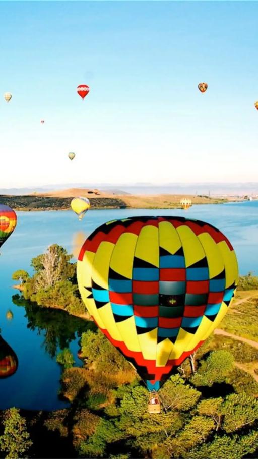 Temecula Winery SoCal Balloon Ride