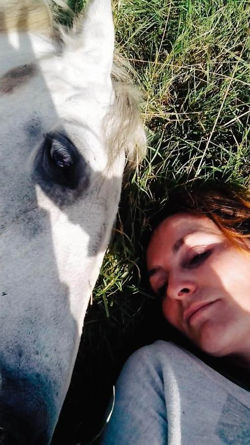 Meditate with horses
