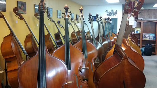 Bass Lessons with Professional Teacher & Artist (Shoreline)