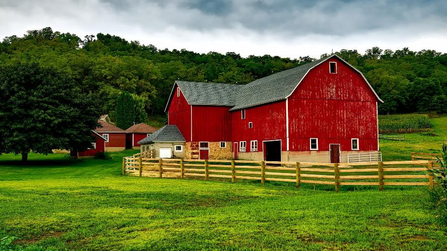 Farm Visit